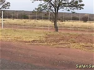 super-steamy sex at my african safari excursion